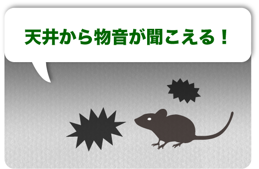 天井から物音が聞こえる