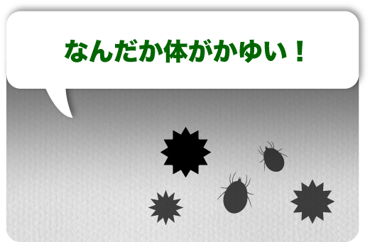 なんだか体がかゆい